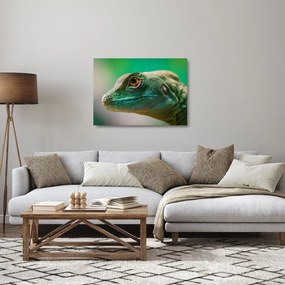 Obraz na szkle - szczegółowy obraz jaszczurki (70x50 cm)