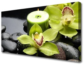 Obraz Canvas Orchidea Kwiaty