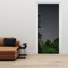 Fototapeta na drzwi - Nocne niebo (95x205cm)