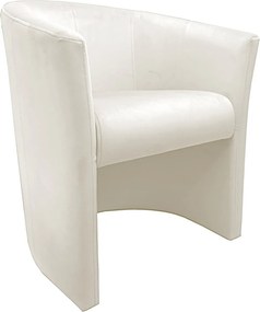 Fotel CLUB tkanina Welur elegancki fotel tapicerowany do salonu i gabinetu : Kolor tkaniny - VELVET - MG50