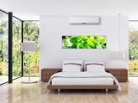 Obraz mięty (170x50 cm)