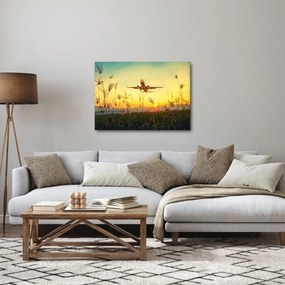 Obraz startującego samolotu (70x50 cm)
