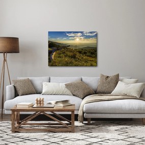 Obraz - Widok na otoczenie (70x50 cm)