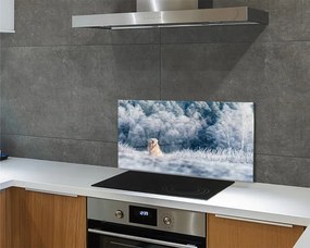 Szklany Panel Pies w Zimowych Górach