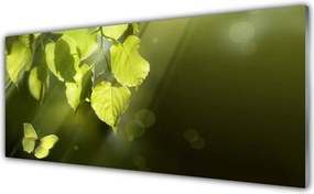 Szkło Dekoracyjne do Kuchni Promienie Słońca w Zielonych Liściach