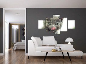 Obraz oblizującego się kotka (125x70 cm)