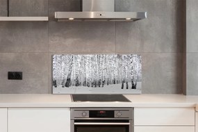 Szklany Panel Zimowy Las Brzozowy