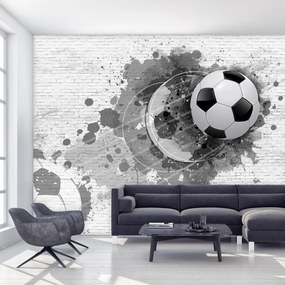 Fototapeta - Piłka nożna (196x136 cm)