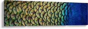 Obraz - Pawie pióra (170x50 cm)