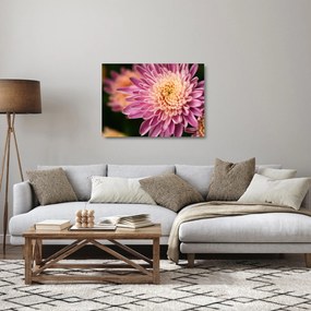 Obraz na szkle - szczegółowy obraz kwiatu (70x50 cm)