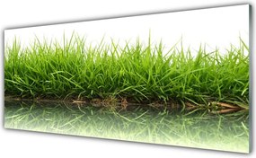 Szkło do Kuchni na Ścianę Świeżość Trawy Nad Wodą