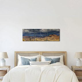 Obraz - kaktusy w przyrodzie (z zegarem) (90x30 cm)