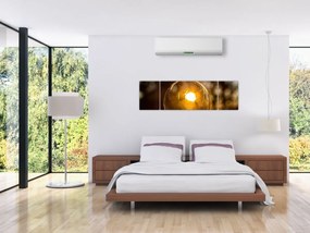 Obraz - Przezroczysta bańka (170x50 cm)