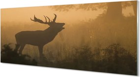 Panel nad Blat Kuchenny Sylwetka Jelenia o Wschodzie