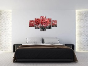 Obraz - Czerwone drzewa, Central Park, New York (125x70 cm)