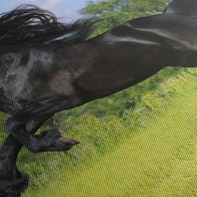 Obraz - Koń z płynącą grzywą (z zegarem) (90x30 cm)
