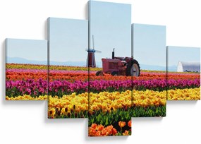 Obraz farmy tulipanów (125x70 cm)
