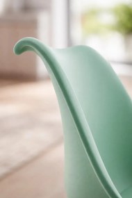 Krzeso podstawowe Synk