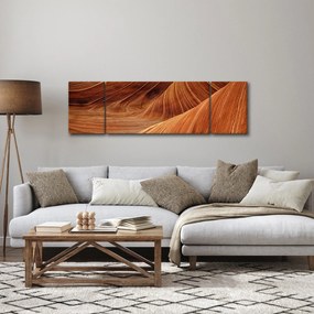 Obraz - Czerwony piasek (170x50 cm)