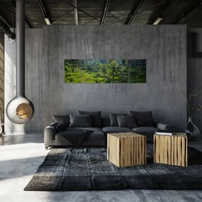Obraz tarasów ryżowych Tegalalang, Bali (170x50 cm)