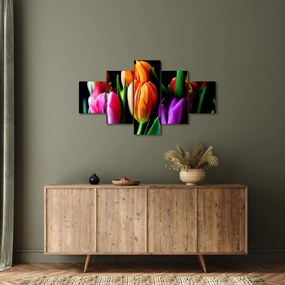 Obraz tulipanów na czarnym tle (125x70 cm)