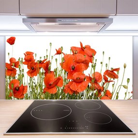 Panel Kuchenny Polne Maki W Słońcu