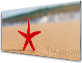 Szkło Dekoracyjne do Kuchni Rozgwiazda Na Ciepłym Piasku