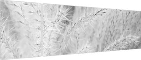 Obraz - Trawa pampasowa N⁰1 (170x50 cm)