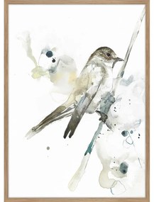 Obraz 50x70 cm Bird 2 – Malerifabrikken