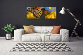 Obraz canvas na ścianę Kolorowy Motyl na Kwiatku