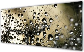 Szkło Dekoracyjne do Kuchni Lekkość Mniszka Lekarskiego