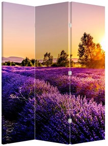 Parawan - Lawendowe pole (126x170 cm)
