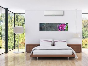 Obraz - Wellness (170x50 cm)