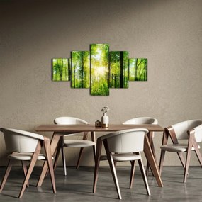Obraz - Świt w lesie (125x70 cm)