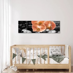 Obraz - Pomarańczowe orchidee (170x50 cm)