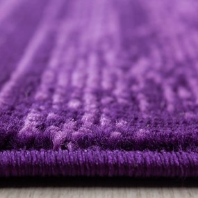 Dywan nowoczesny Plus fioletowy 200 cm x 290 cm
