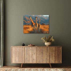 Obraz na szkle - Żyrafy na pastwisku (70x50 cm)