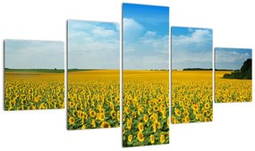 Obraz - ciąg słoneczników (125x70 cm)