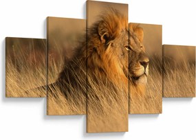 Obraz - Park Narodowy Etosha (125x70 cm)