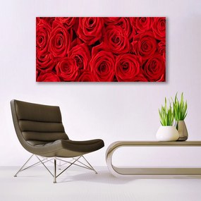 Obraz Canvas Róże Kwiaty Roślina