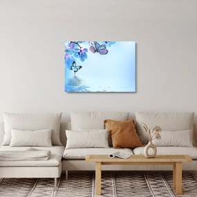 Obraz na szkle - Motyl na kwiatach orchidei, niebieski (70x50 cm)