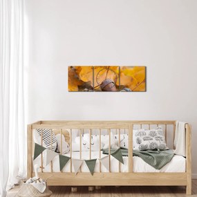 Obraz - Jesienne żołędzie (z zegarem) (90x30 cm)