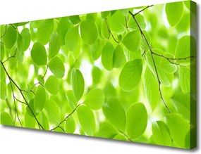 Obraz drukowany na płótnie Organiczne Formy Liści