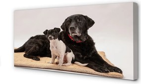 Duży obraz na płótnie Odpoczywające Psy
