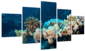 Obraz - W oceanie (125x70 cm)