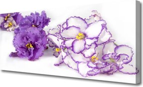 Obraz na płótnie Delikatny Pąk w Rozkwicie