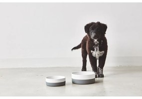 Porcelanowa miska dla psów ø 21,5 cm Coppa Slate M/L – MiaCara