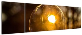 Obraz - Przezroczysta bańka (170x50 cm)