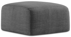 Ciemnoszary podnóżek Leila – Makamii