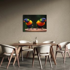 Obraz papug (70x50 cm)